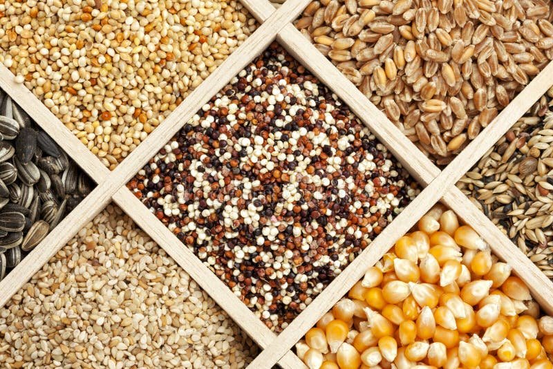 Basmati Rice, Grains & Seeds